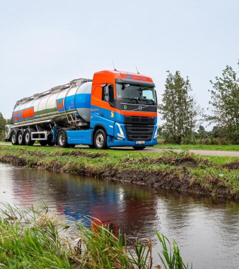 Troll-Home-Timeline-1